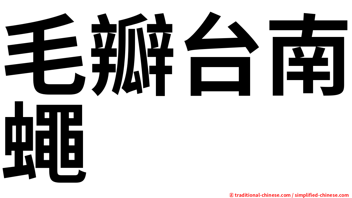 毛瓣台南蠅