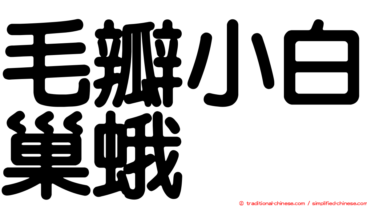 毛瓣小白巢蛾