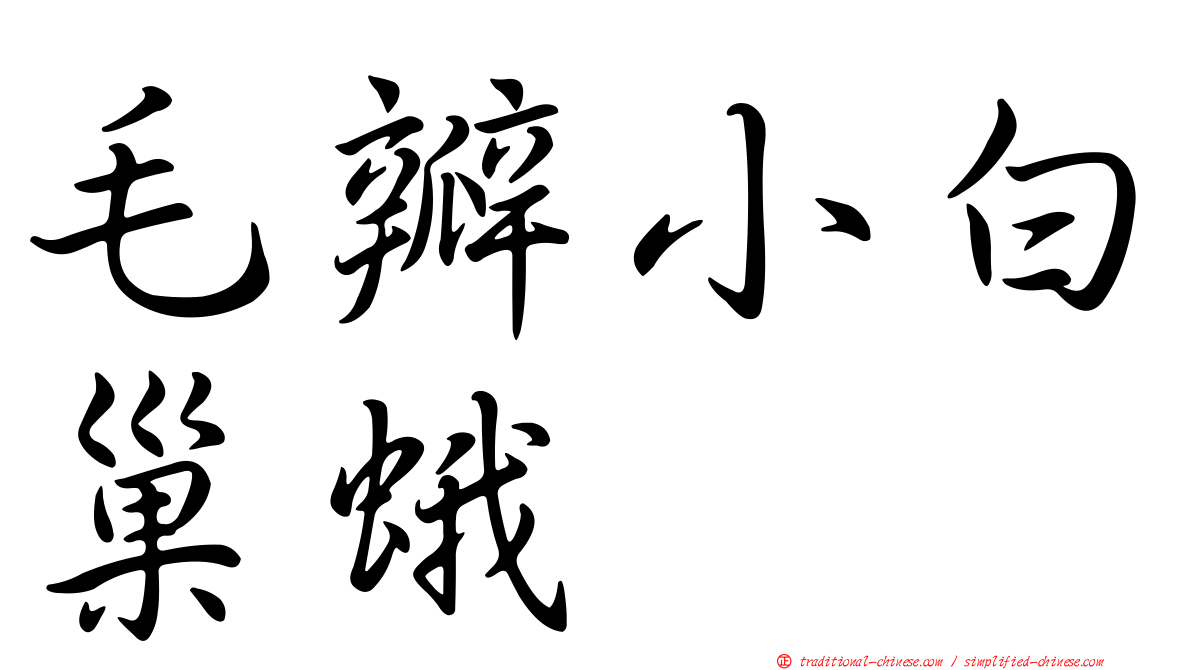 毛瓣小白巢蛾