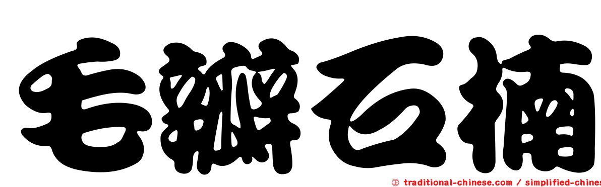 毛瓣石楠