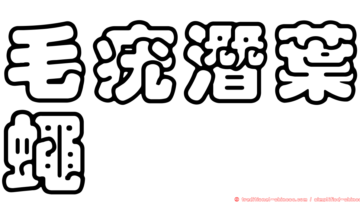毛疣潛葉蠅