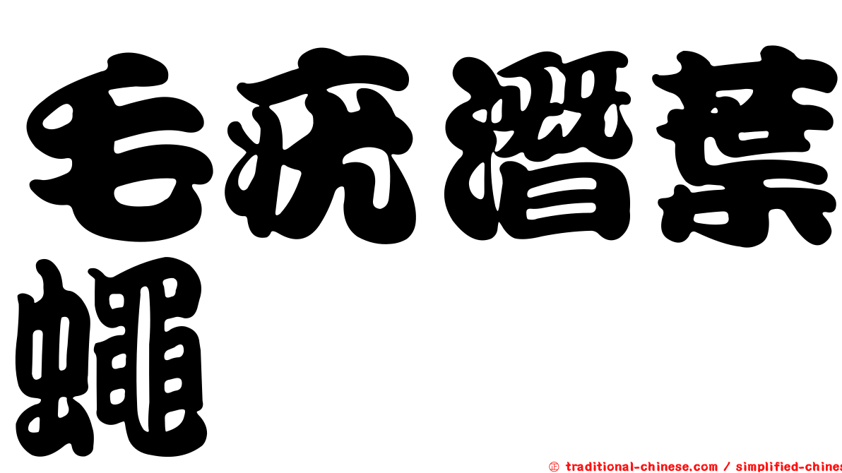 毛疣潛葉蠅