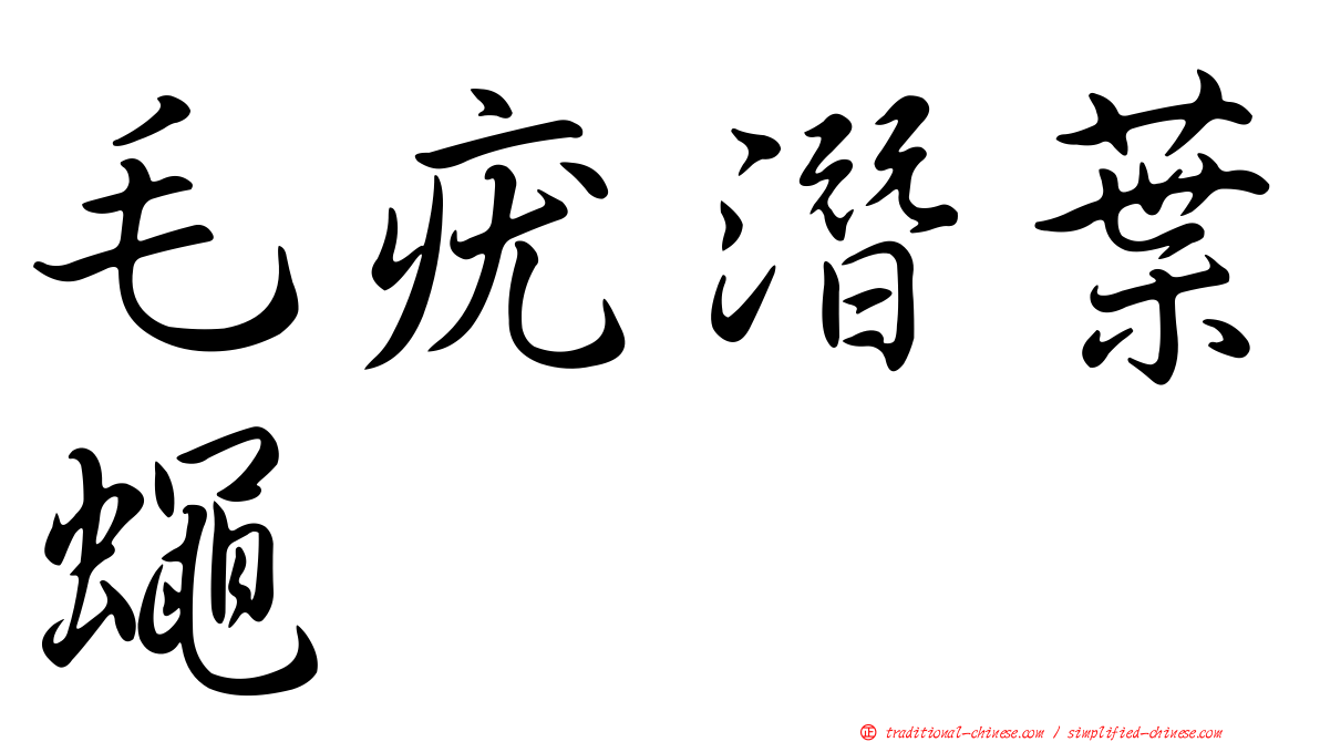 毛疣潛葉蠅
