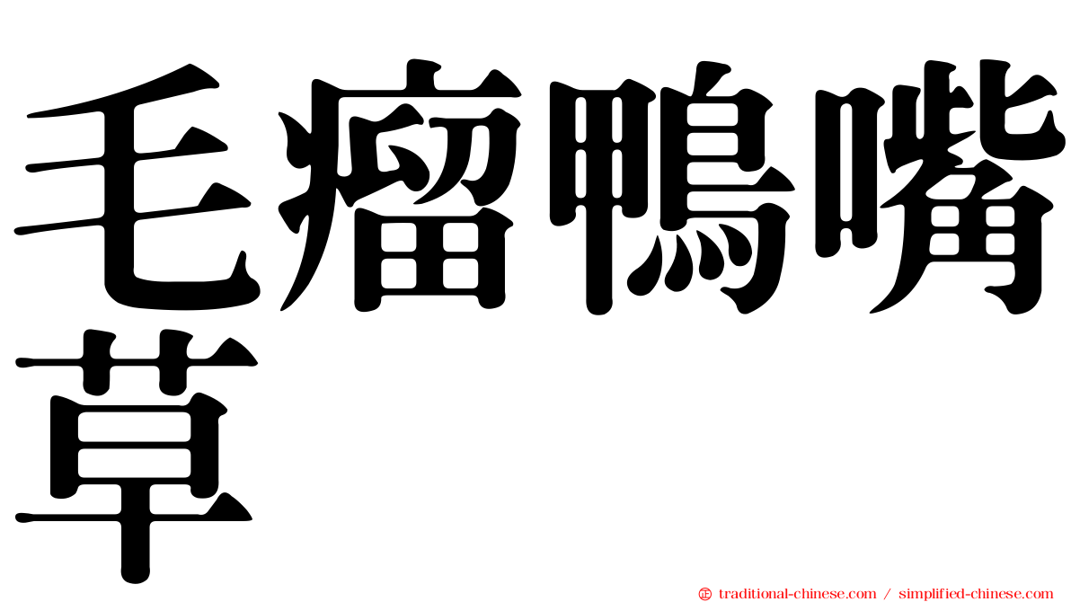 毛瘤鴨嘴草