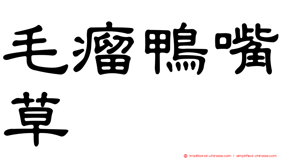 毛瘤鴨嘴草