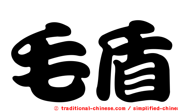 毛盾