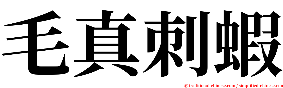 毛真刺蝦 serif font