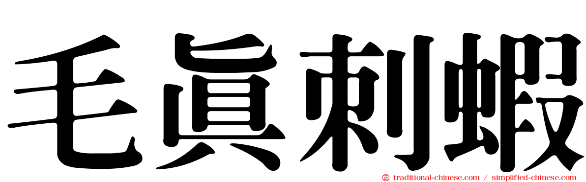 毛真刺蝦