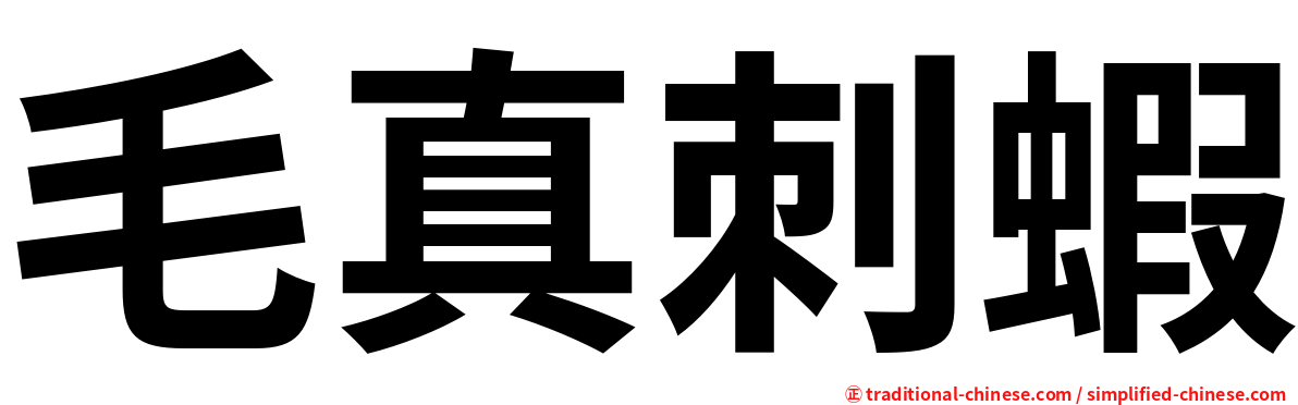 毛真刺蝦