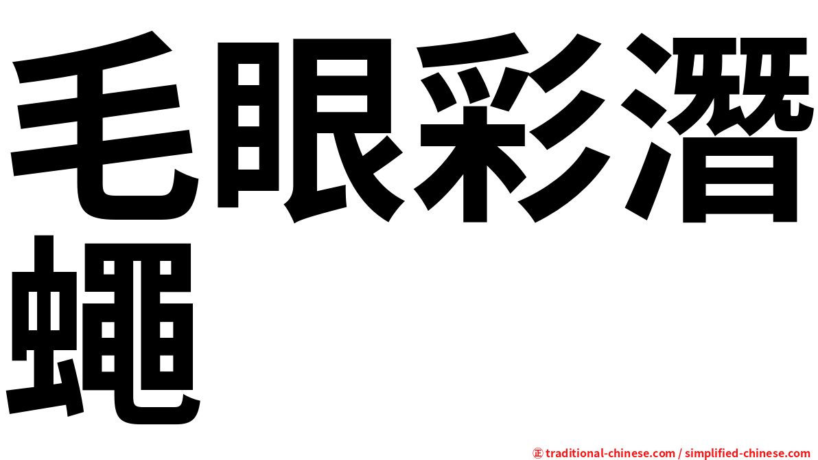 毛眼彩潛蠅