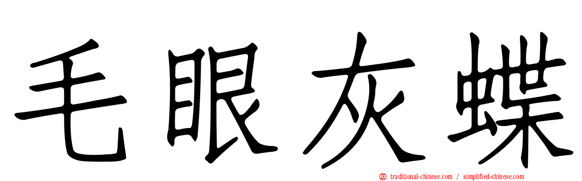 毛眼灰蝶