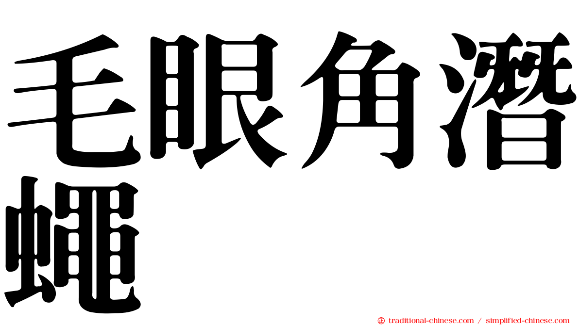 毛眼角潛蠅