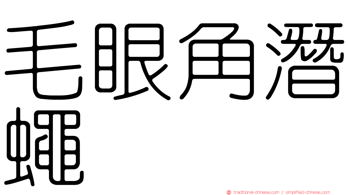毛眼角潛蠅
