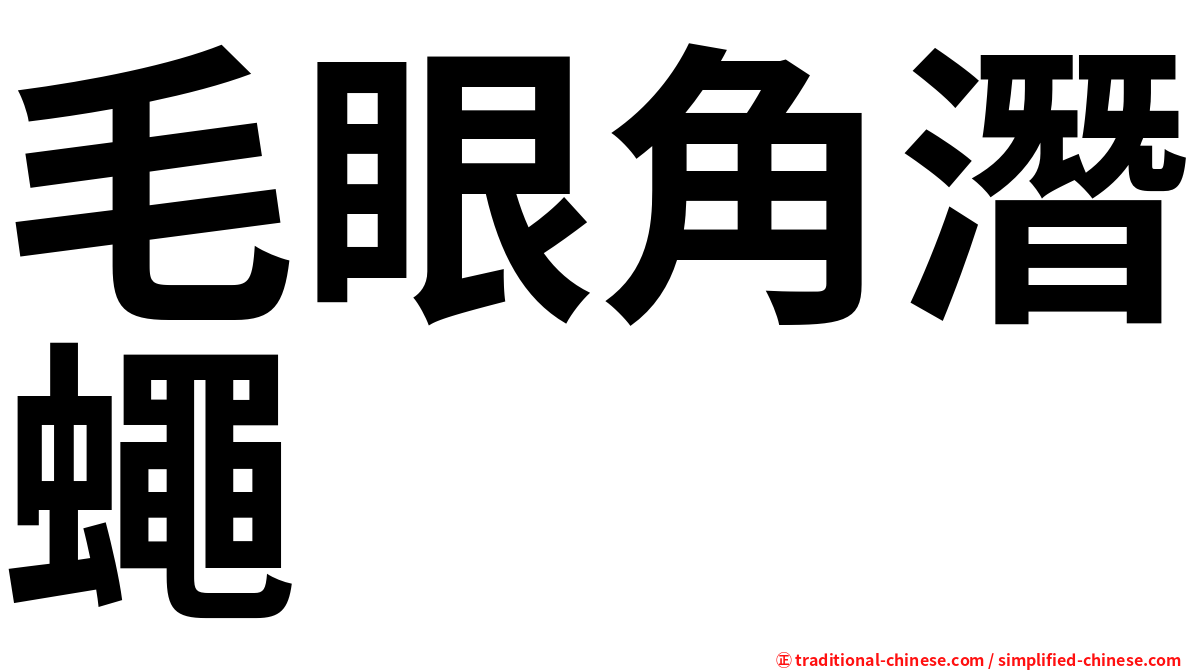 毛眼角潛蠅
