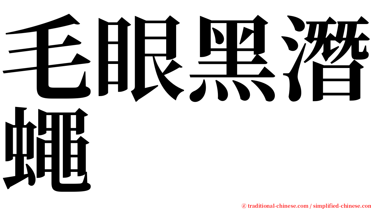 毛眼黑潛蠅 serif font