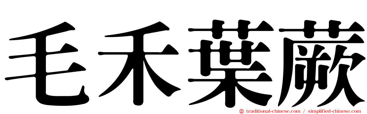毛禾葉蕨