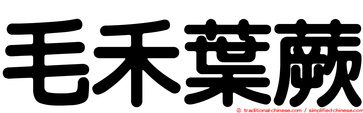 毛禾葉蕨