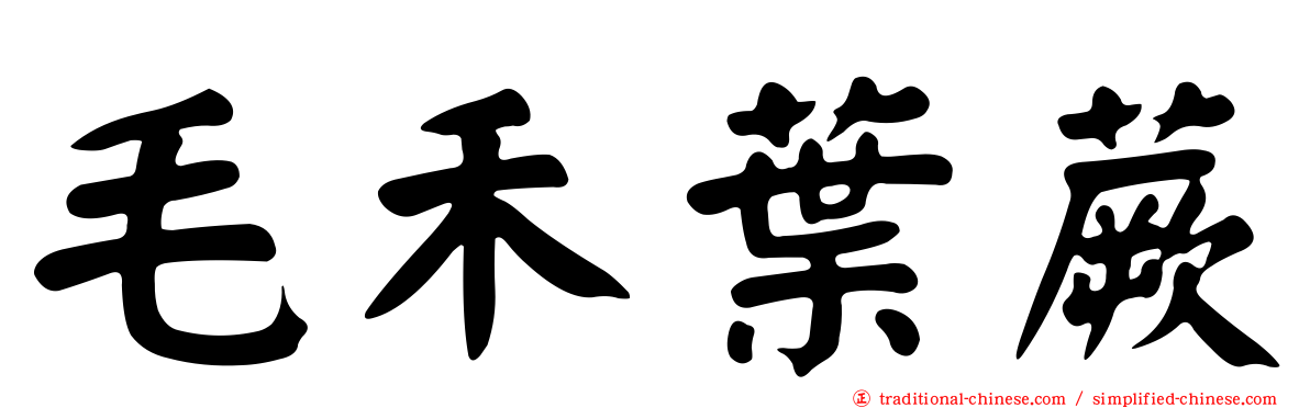 毛禾葉蕨