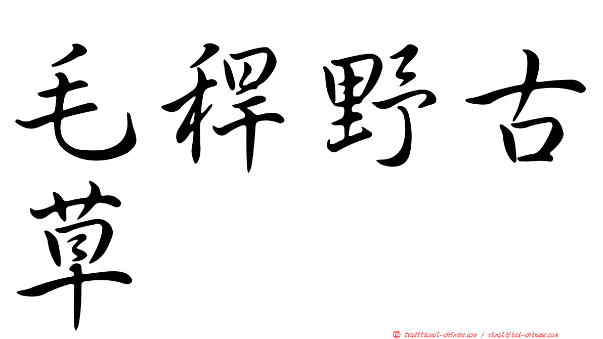 毛稈野古草