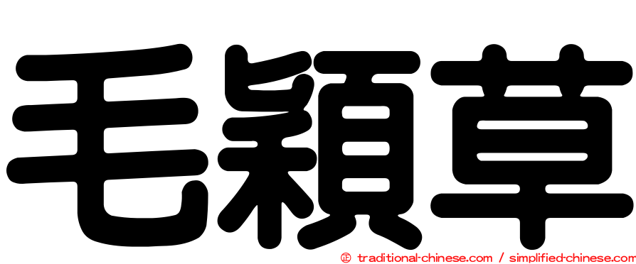 毛穎草