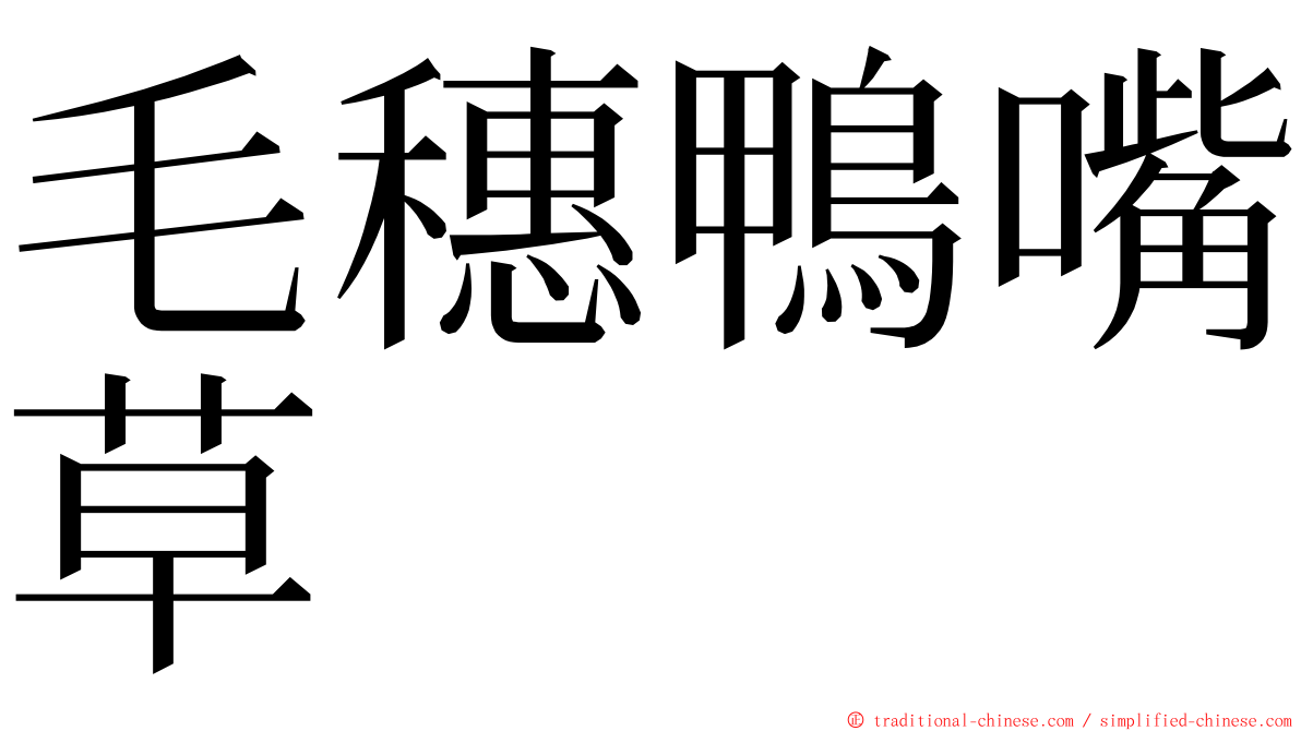 毛穗鴨嘴草 ming font