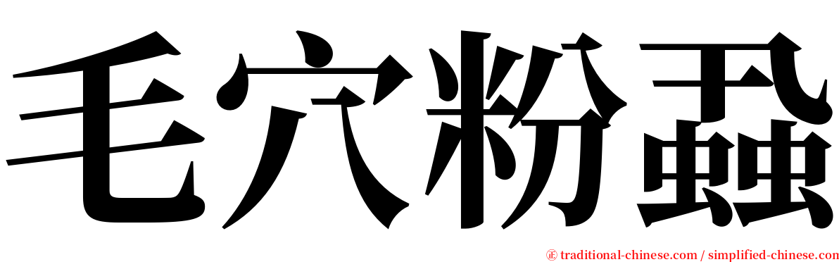 毛穴粉蝨 serif font