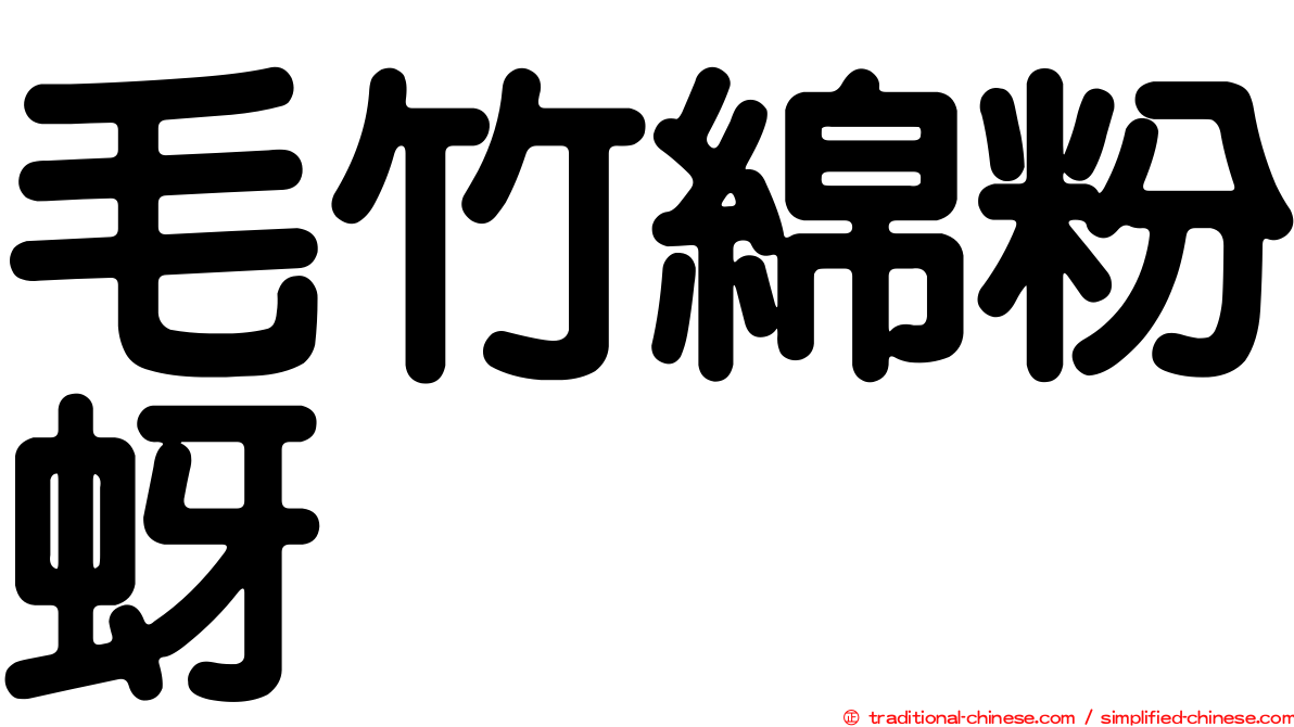毛竹綿粉蚜