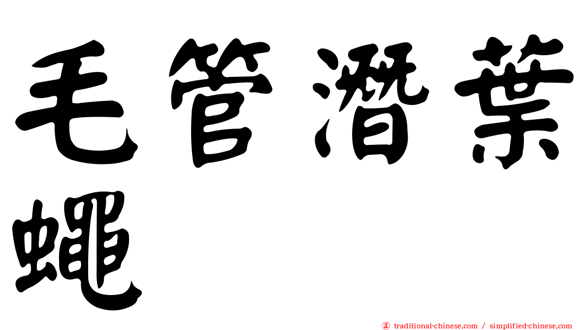 毛管潛葉蠅