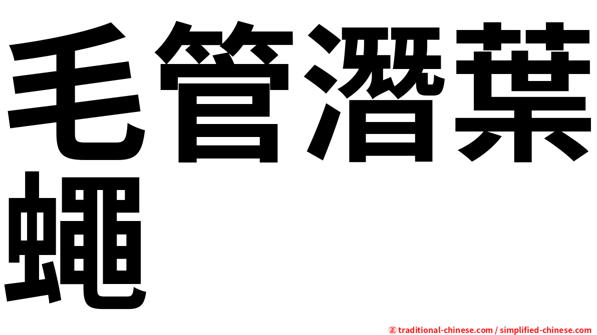 毛管潛葉蠅