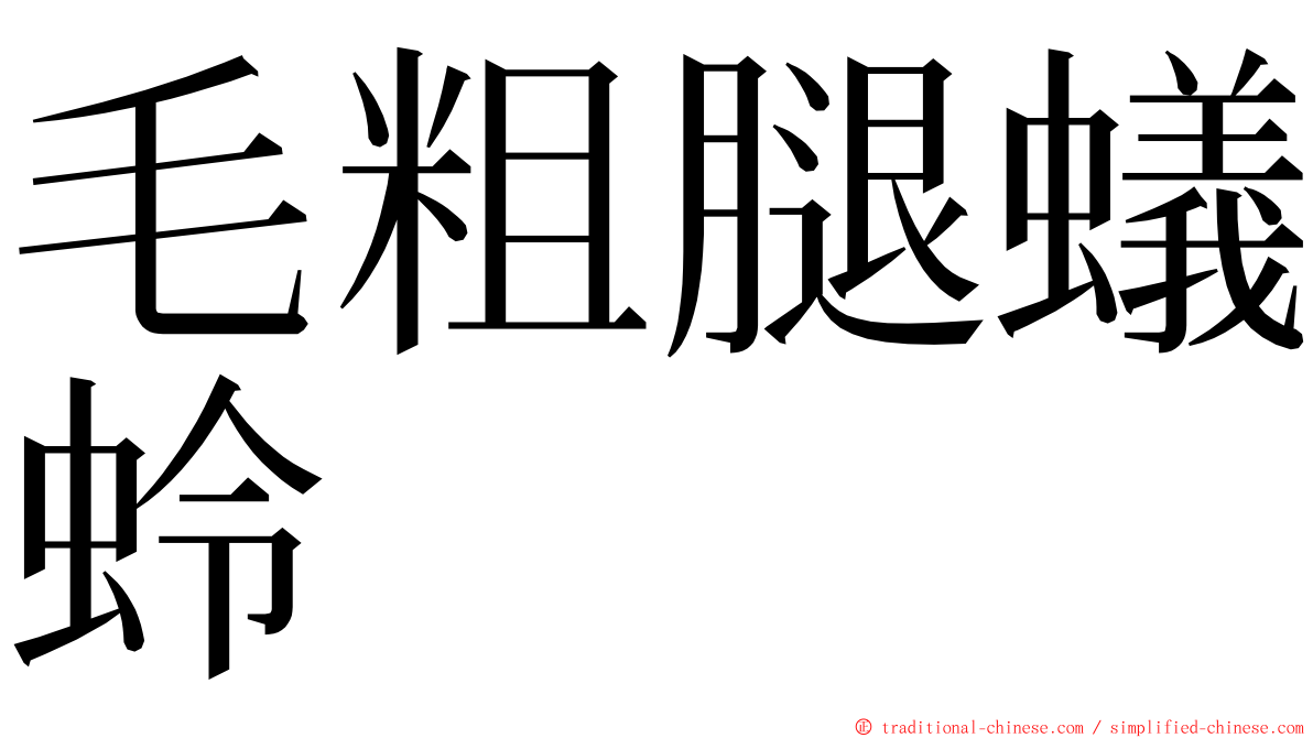 毛粗腿蟻蛉 ming font