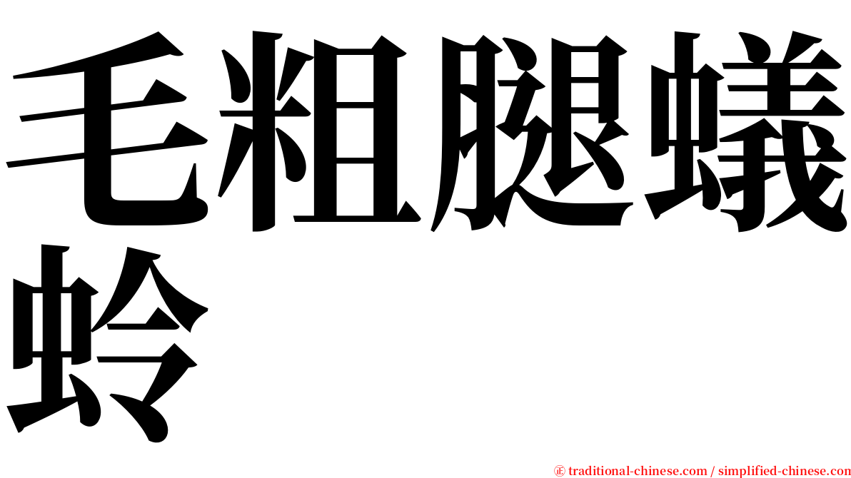 毛粗腿蟻蛉 serif font