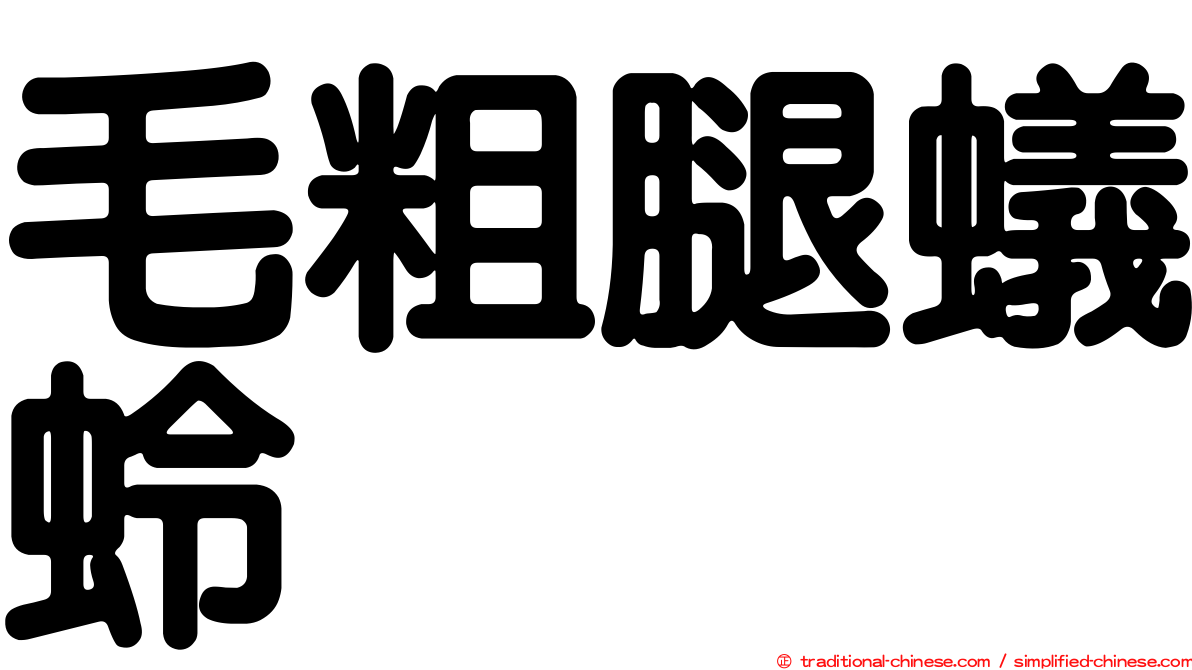 毛粗腿蟻蛉