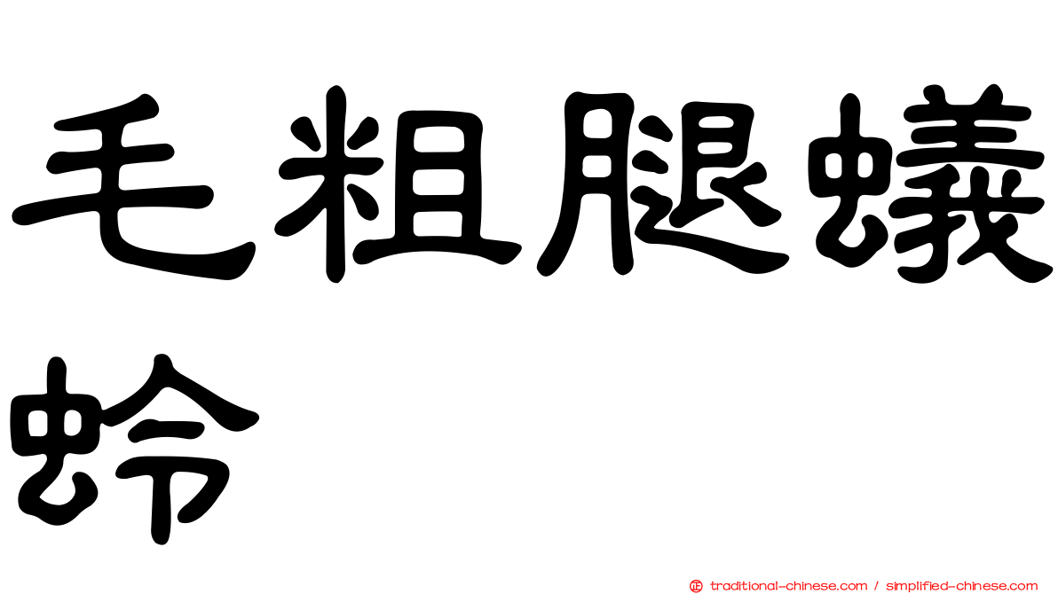 毛粗腿蟻蛉