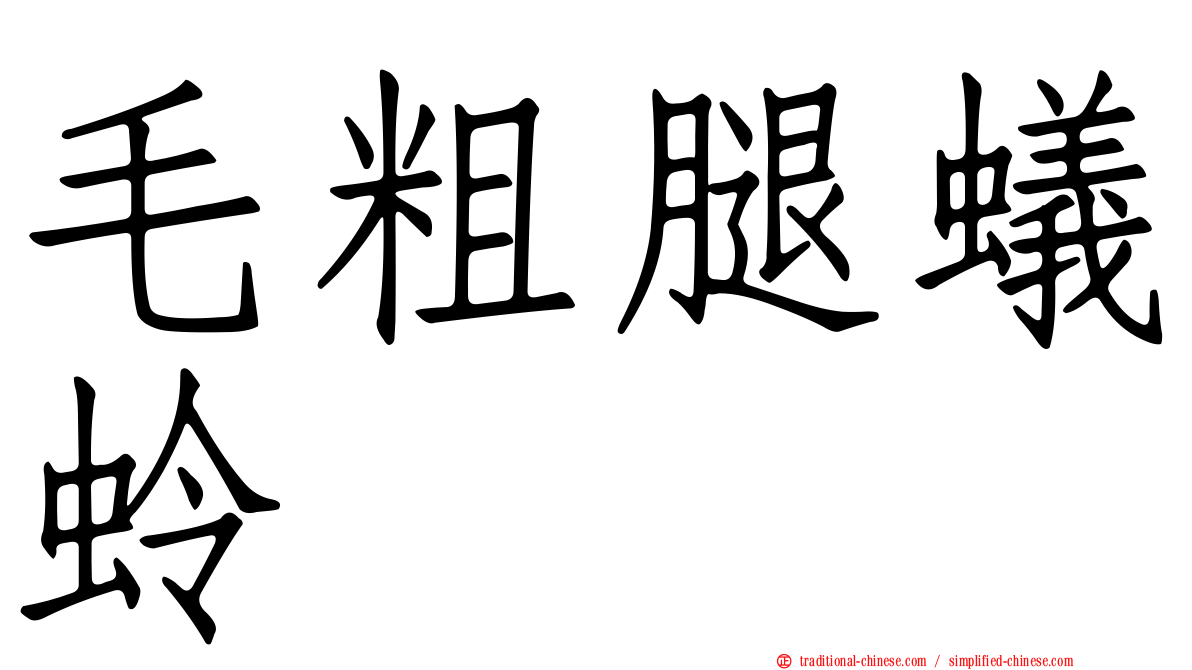毛粗腿蟻蛉