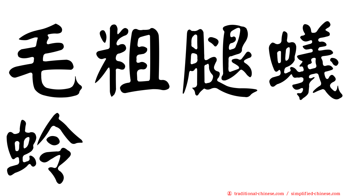 毛粗腿蟻蛉