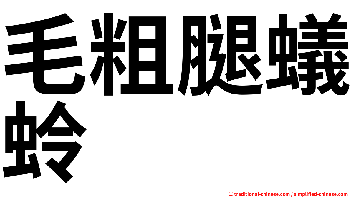 毛粗腿蟻蛉