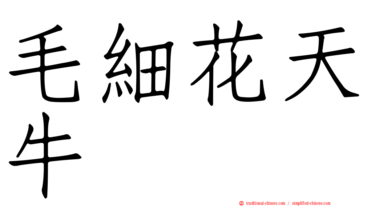 毛細花天牛