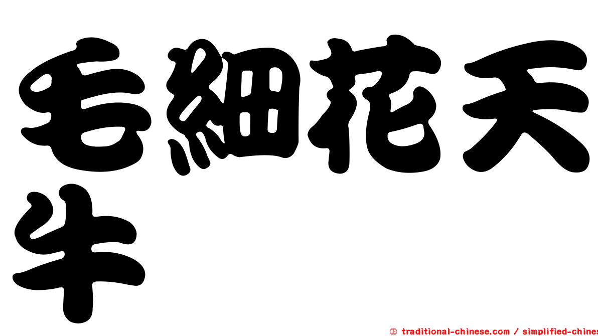 毛細花天牛