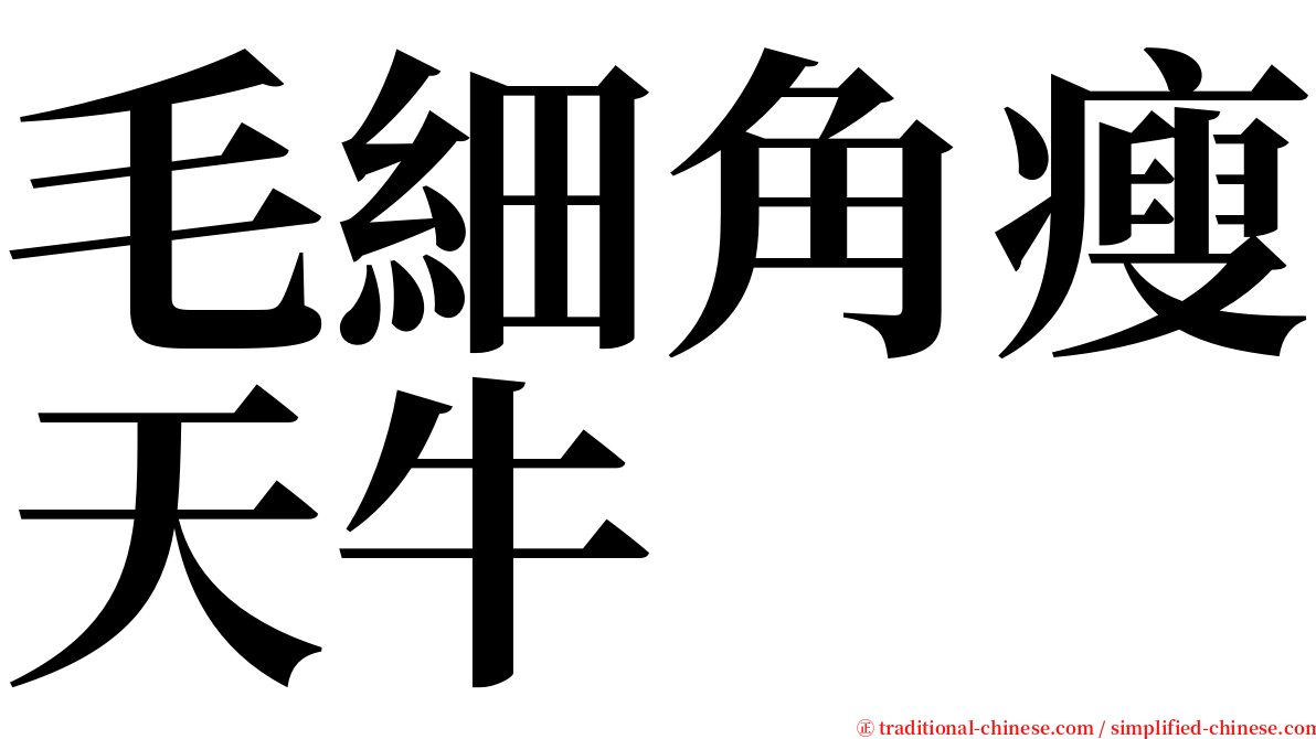 毛細角瘦天牛 serif font