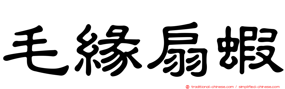 毛緣扇蝦