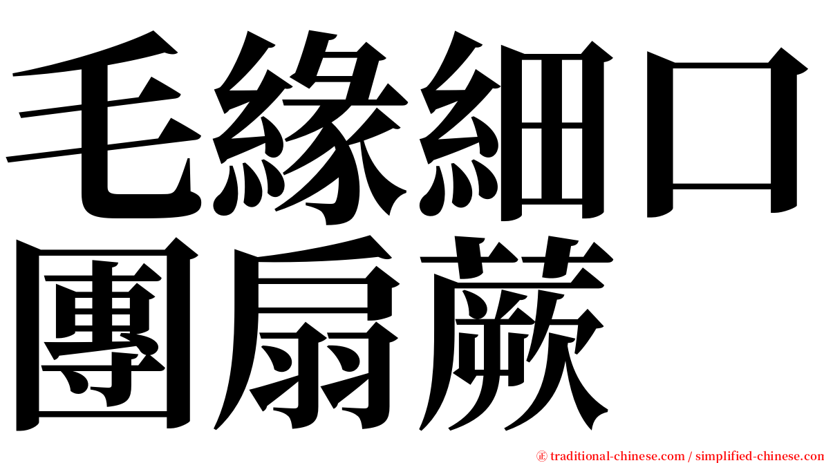 毛緣細口團扇蕨 serif font