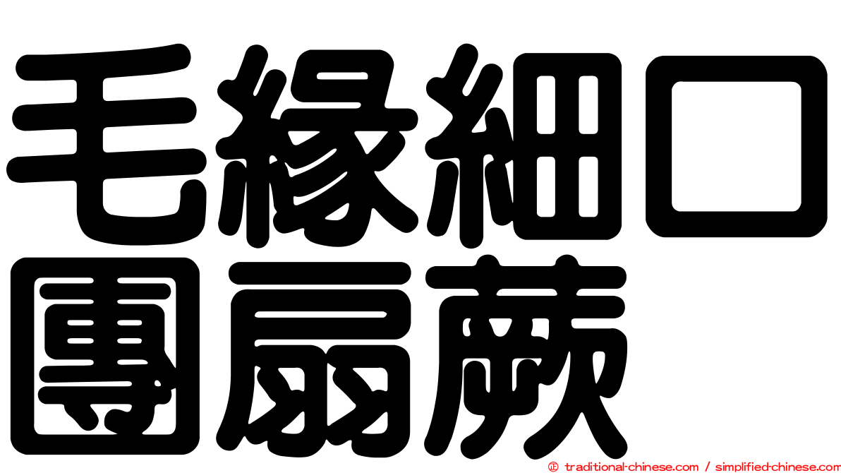 毛緣細口團扇蕨