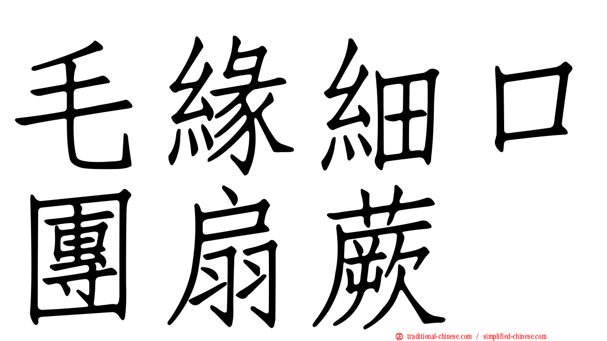 毛緣細口團扇蕨