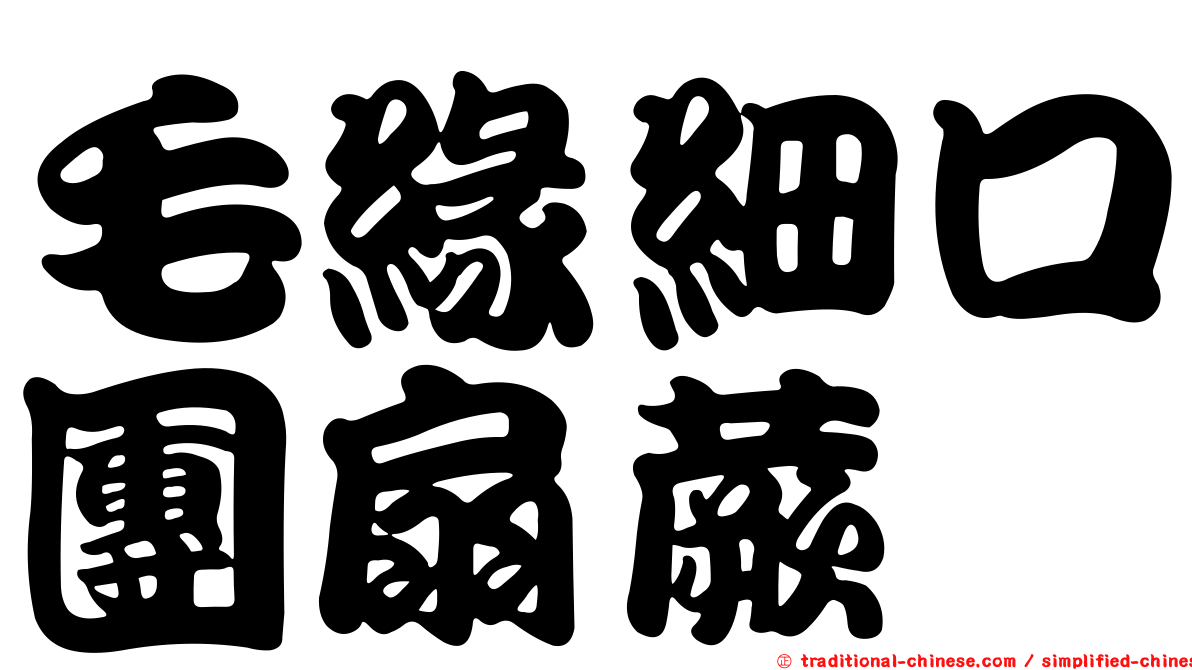 毛緣細口團扇蕨