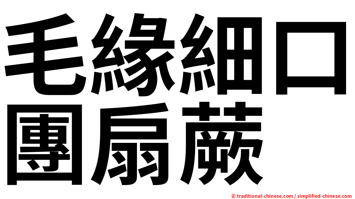毛緣細口團扇蕨