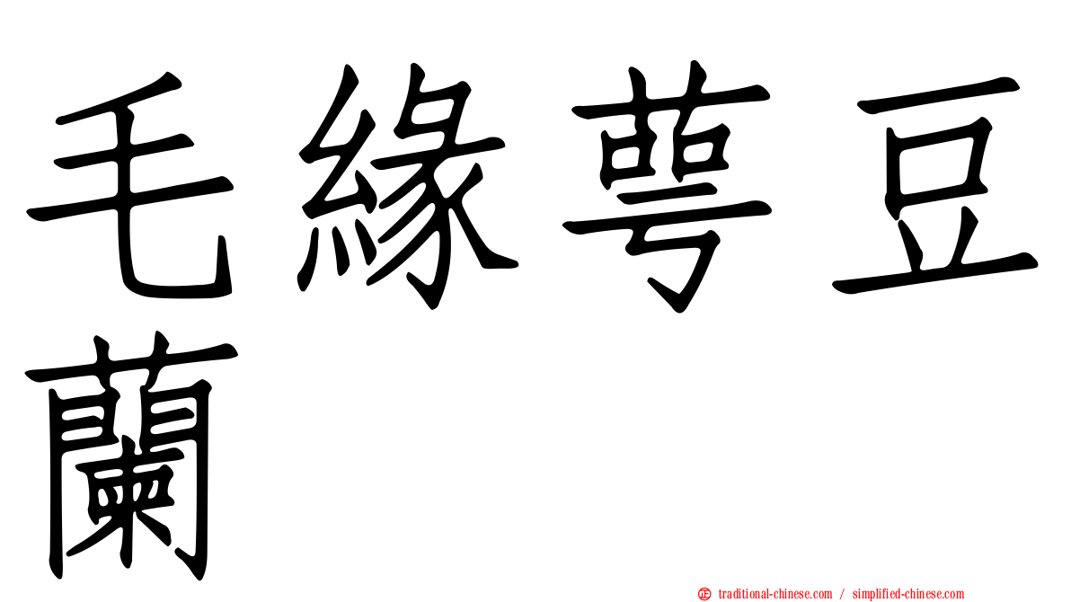 毛緣萼豆蘭