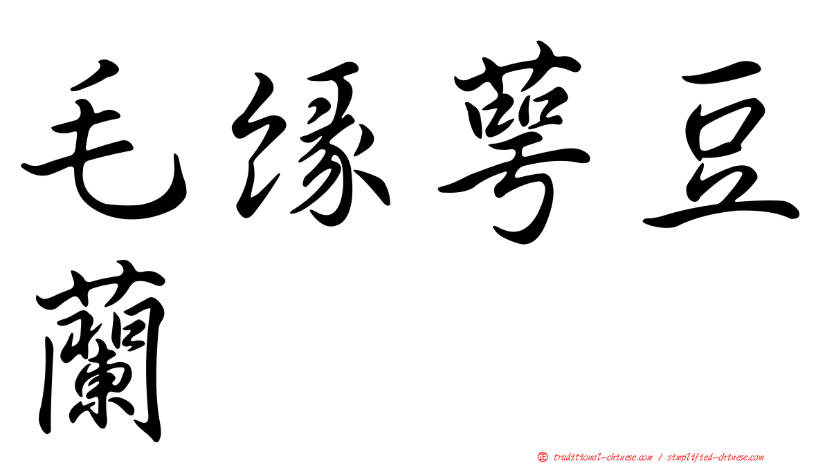 毛緣萼豆蘭