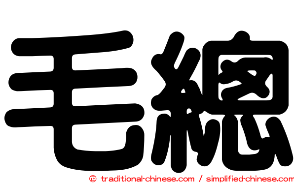 毛總