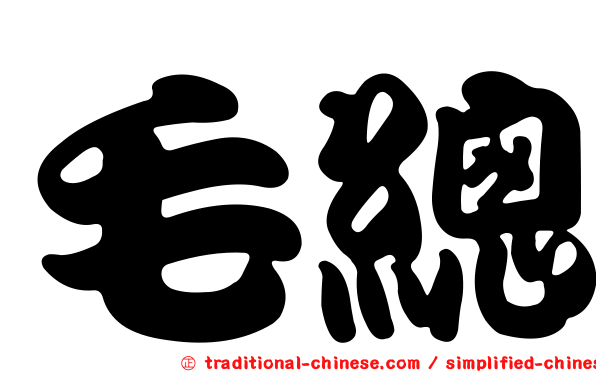 毛總