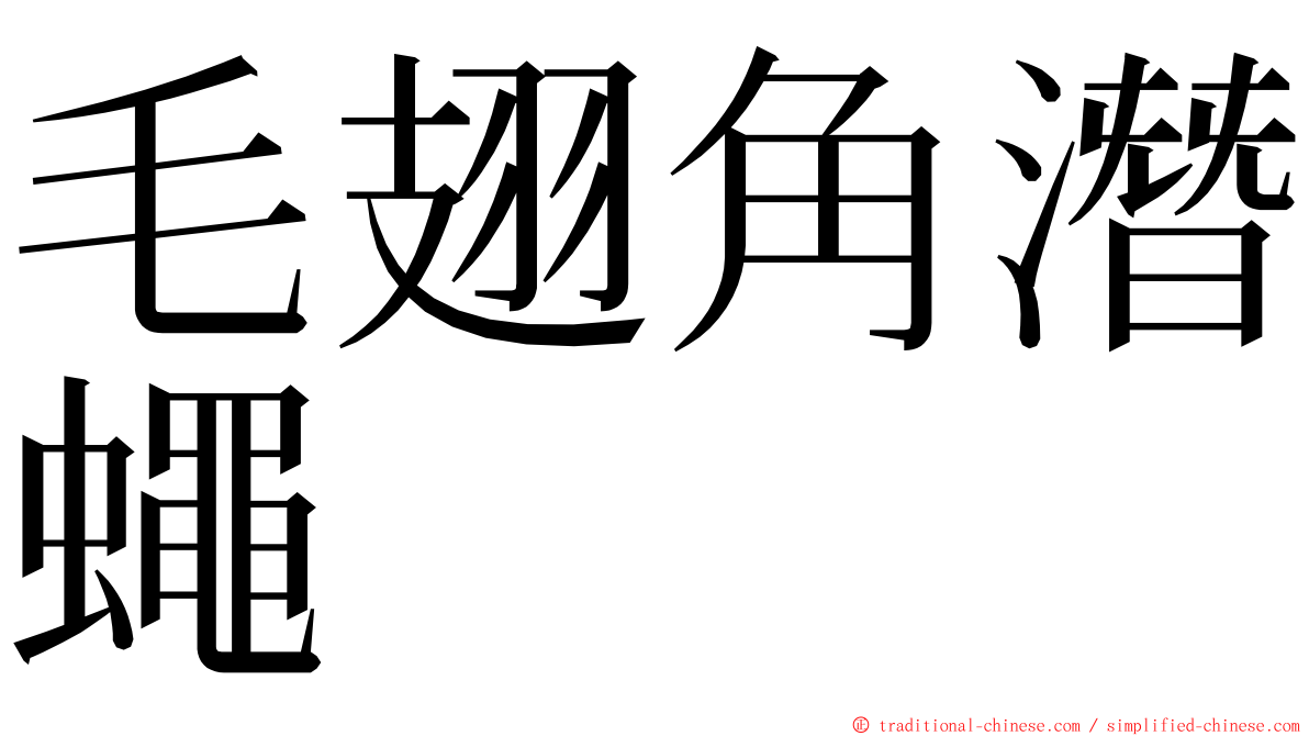 毛翅角潛蠅 ming font